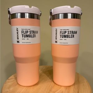 Stanley Ice Flow Flip Straw Tumbler Bundle of 2 MELON